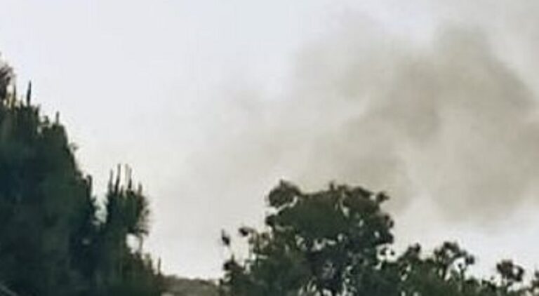 استشهاد القيادي حسين عطوي بغارة حارة الناعمة (صورة)