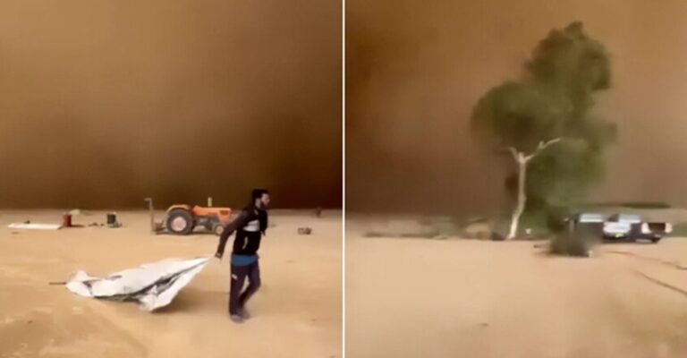 بالفيديو.. عاصفة رملية في الجزائر