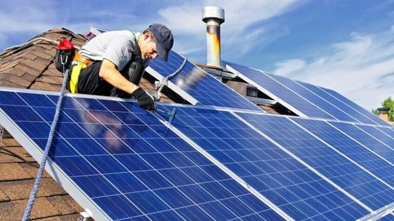 نباتات تضيء بالطاقة الشمسية! (فيديو)