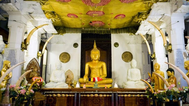 تداول صورة لذخيرة بوذية يُحظر تصويرها.. وغضب في سريلانكا