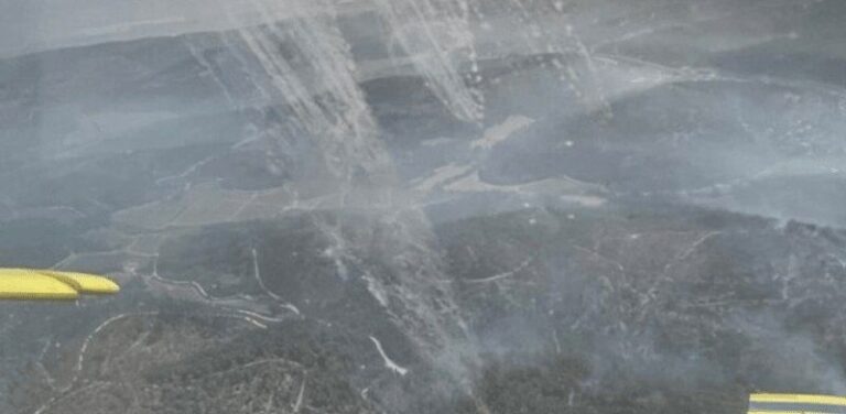 حريق في بشنين – زغرتا (فيديو)