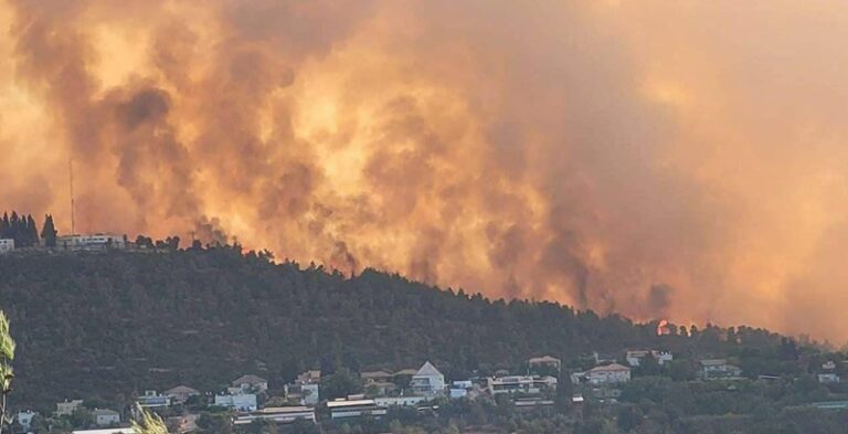 بالفيديو – حرائق في غابات بيت شيمش.. وجرحى