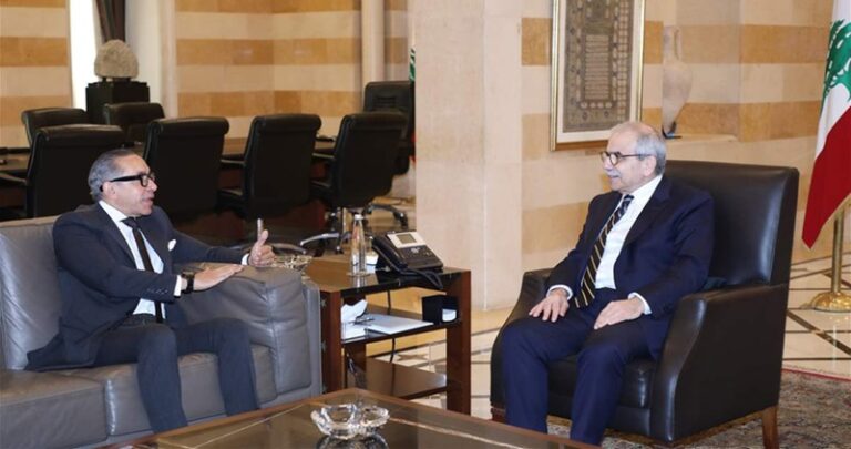 العلاقات الثنائية بين مصر ولبنان على طاولة سلام وموسى