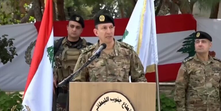 هيكل: عيد المقاومة والتحرير هو إنجاز وطني