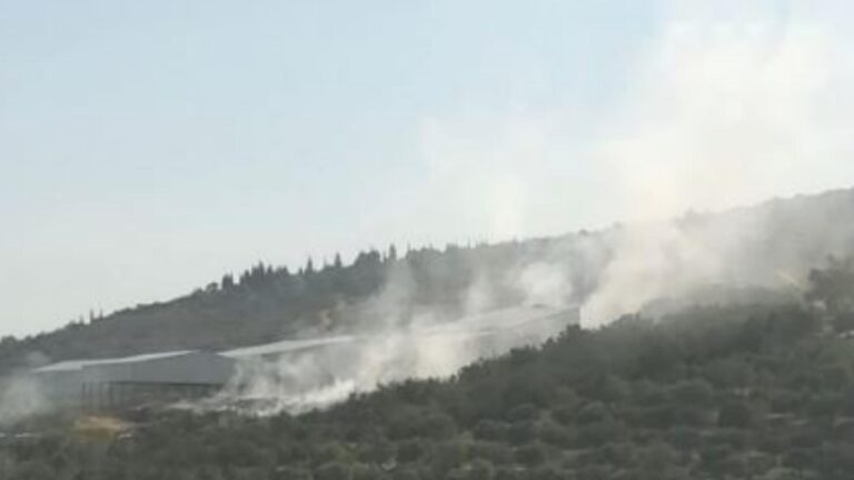 حريق بمعمل فرز النفايات في المنية