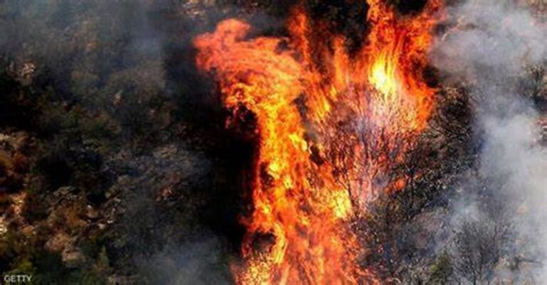 بالفيديو ـ حرائق غابات في السعودية