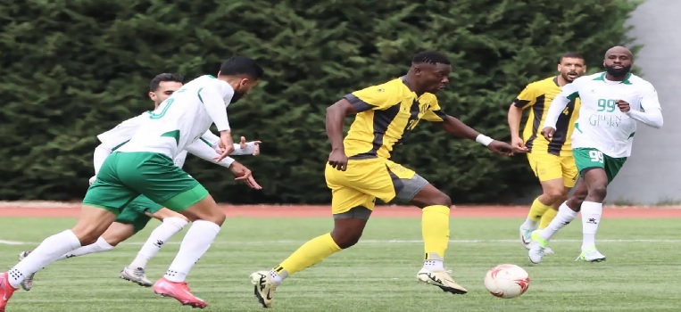 قرار تقني من هاس يكشف خللًا في سيارة هاميلتون