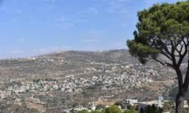 “كعكة التحلاية” لم تنجح.. أول انتخابات حقيقية في الخلوات!