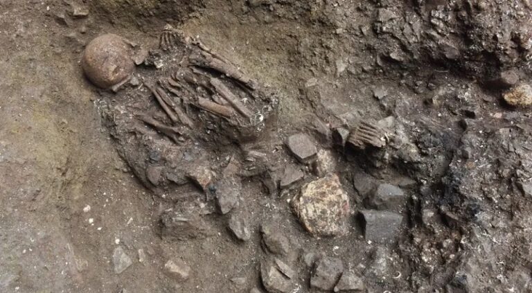 “سلالة الشبح”: أصول جديدة للبشر