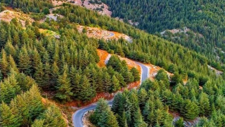 اجتماع في محمية أرز الشوف لتعزيز التعاون مع البلديات