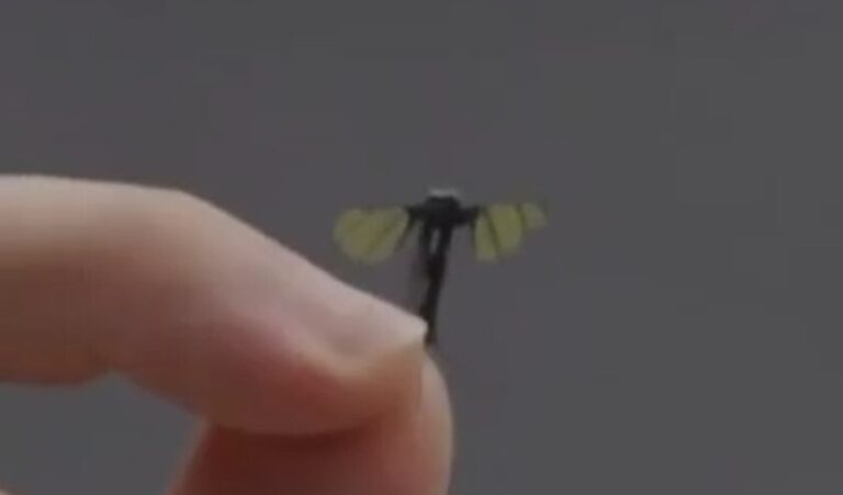 بالفيديو.. روبوت استطلاع عسكري بحجم بعوضة!