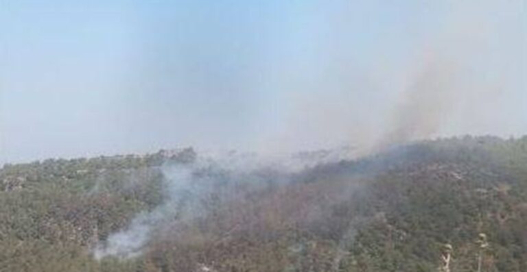 الحريق متواصل في بسري لليوم الثاني على التوالي