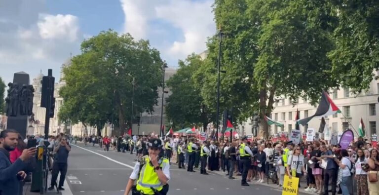 احتجاجات في لندن رفضاً لمجاعة غزة (فيديو)