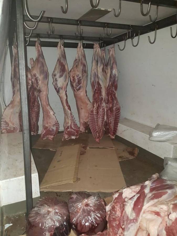 خراف نافقة تُباع في بعلبك!