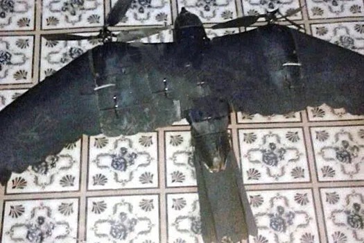 درونات روسية تحاكي أشكال الطيور