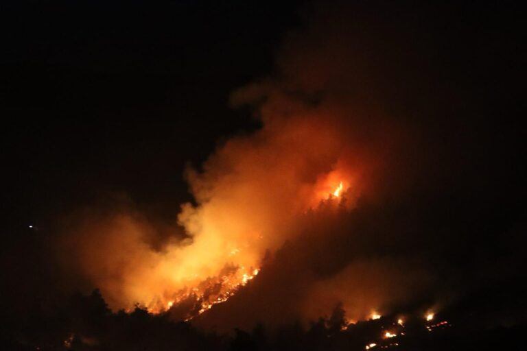 حرائق اللاذقية..جهود دولية لإخمادها (فيديو)