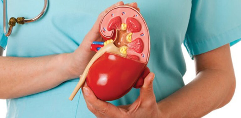 لأول مرة في لبنان.. نجاح عملية زرع كلية لطفل