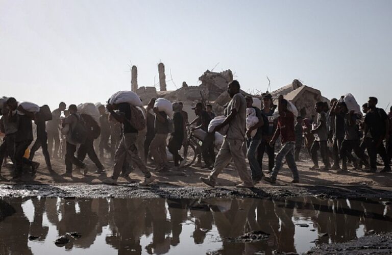 14% فقط من المساعدات الإنسانية دخلت قطاع غزة! 