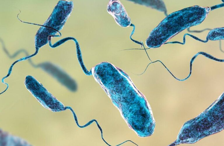 بكتيريا خطيرة قد تسبب تعفناً دموياً قاتلاً!