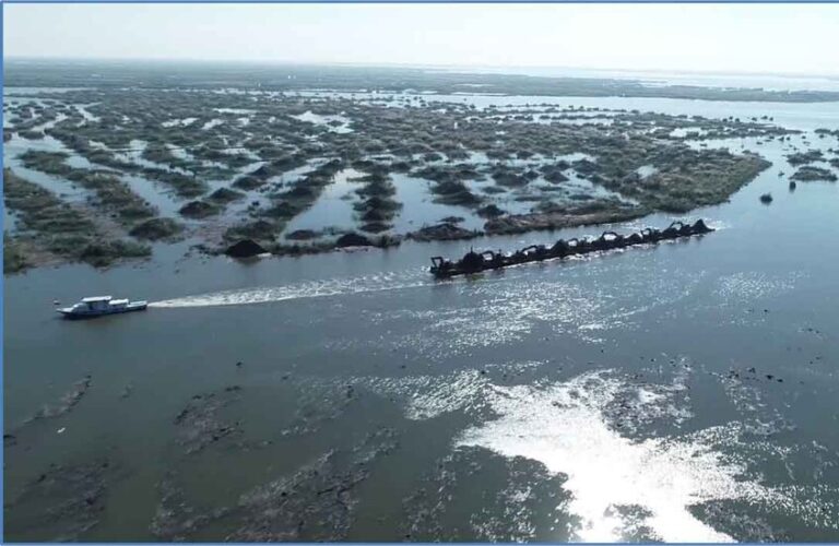 نفوق أسماك في مصر!