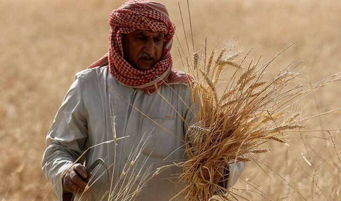 شحّ المياه يوقف الزراعة في العراق!