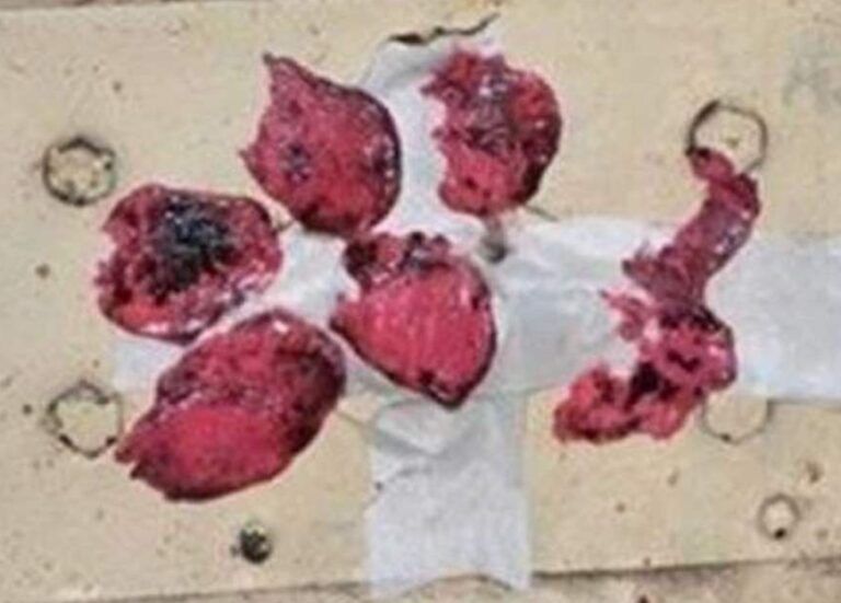 إقفال صيدليتين في البقاع الغربي