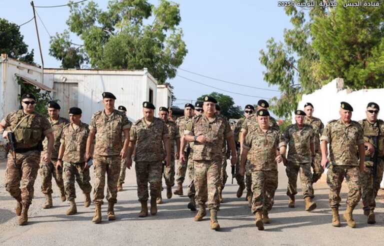 جولة لقائد الجيش بالنيابة في الجنوب