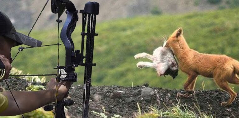 أقدم دليل على الصيد بالسهام في آسيا! (صور)