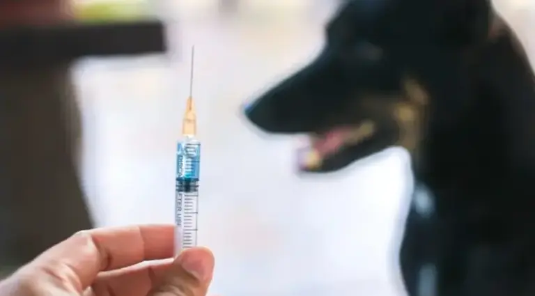 وزير يتعرض لعضة كلب!