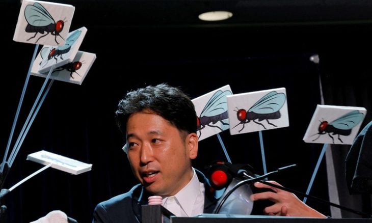 للحماقة.. جوائز “إيج نوبل”