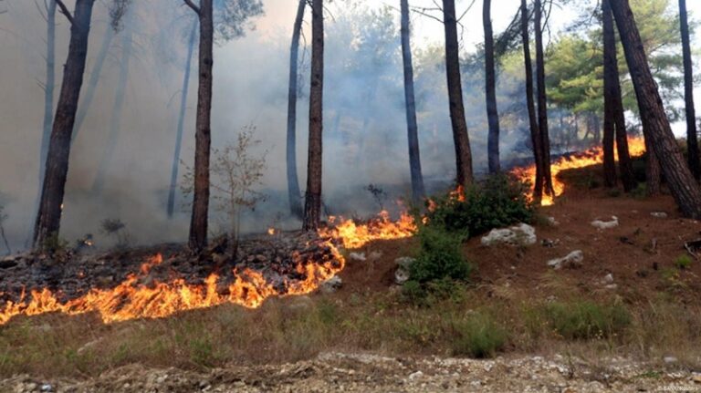 ما حقيقة الطائرة المسيرة التي أشعلت الحرائق في سوريا؟