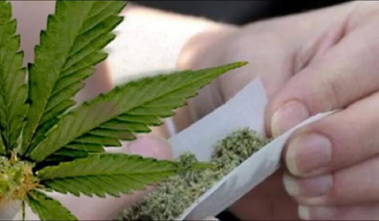 ضبط شحنة حشيش على الحدود اللبنانية – السورية