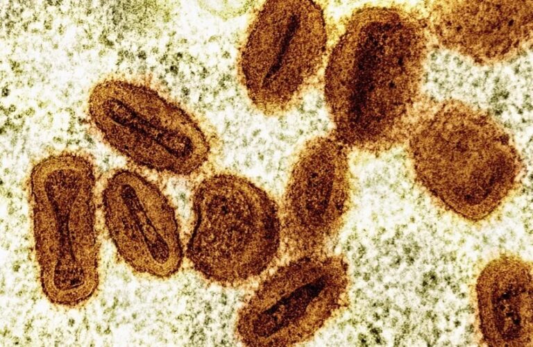 “الصحة العالمية”: جدري القردة لم يعد طارئًا صحيًا عالميًا