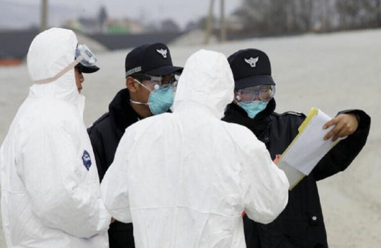 أول إصابة بإنفلونزا الطيور في كوريا الجنوبية