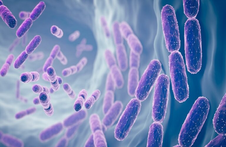 “د-لاكتات”.. العدو الخفي للسمنة والسكري قابل للسيطرة؟