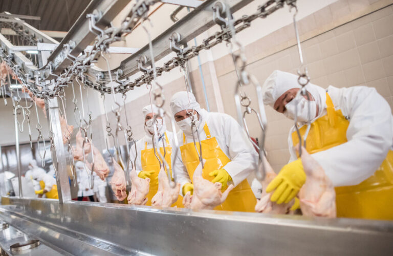 إغلاق خطوط إنتاج 5 مصانع لحوم ودواجن في السعودية