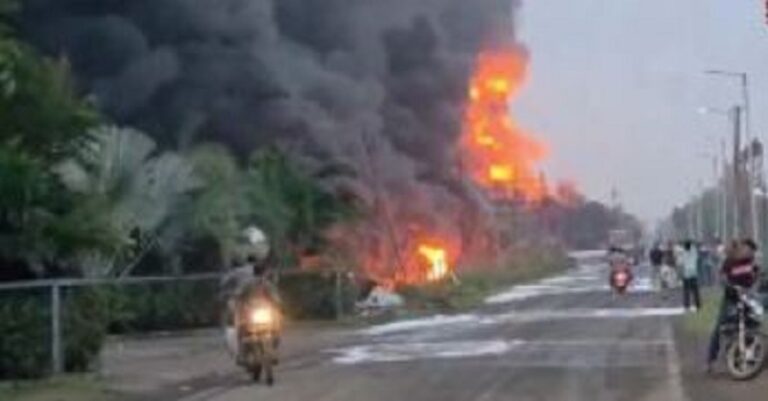 حريق هائل بمصنع في الهند (فيديو)