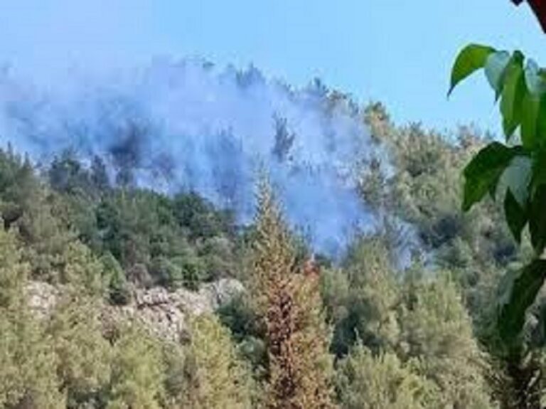 أسبوع من النيران في عكار.. وإصابات بين عناصر الإطفاء (فيديو وصور)