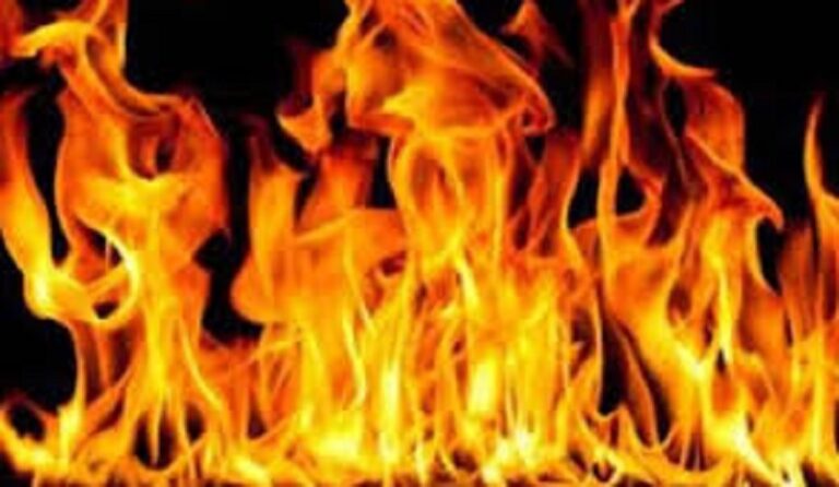 حريق يلتهم محلة الغازية قرب أوتوستراد صيدا