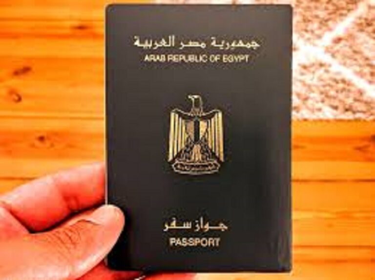 عشرات الأجانب يحصلون على الجنسية المصرية في إطار سياسة دمج اللاجئين