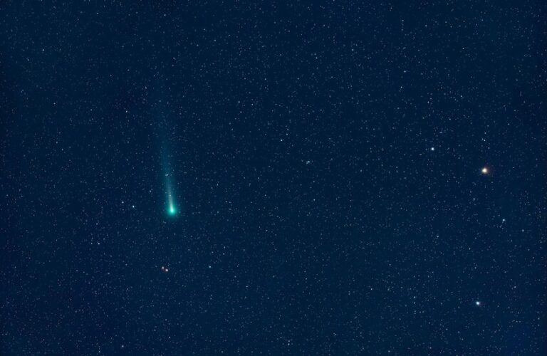 رصد مذنب نادر الظهور!