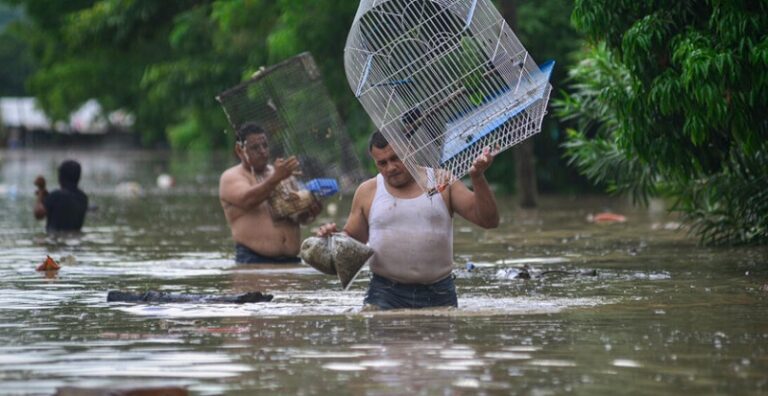 بالفيديو – 47 قتيلاً بفيضانات المكسيك