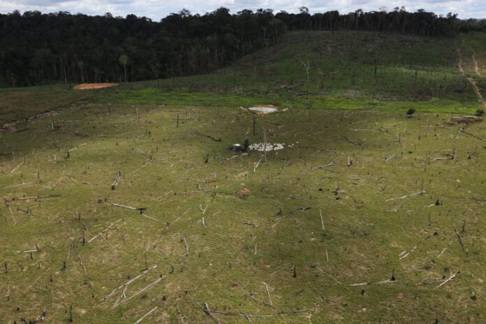 النظام الصيني الجديد