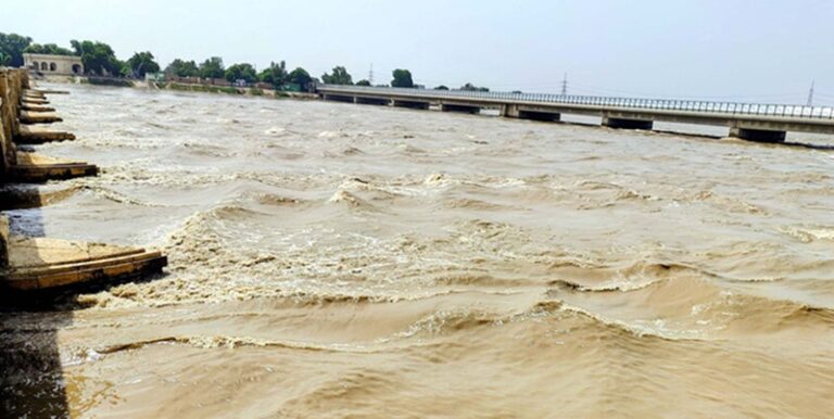 فيضانات باكستان تدمر مئات المنازل وتفتك بالحيوانات! (فيديو)