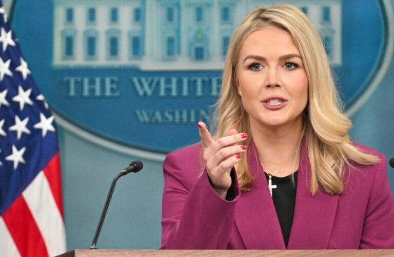 ليفيت تتهم الديمقراطيين بتعمد إيذاء الأميركيين!