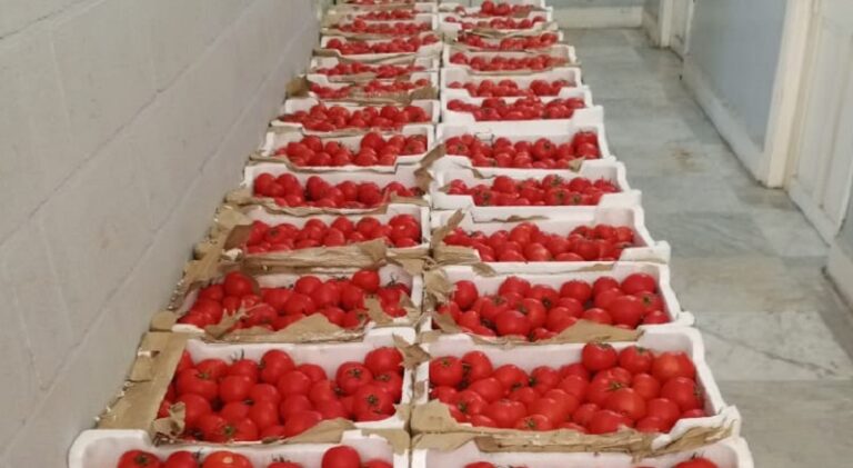 “الجمارك” تضبط كميات من البندورة والألبسة المهرّبة