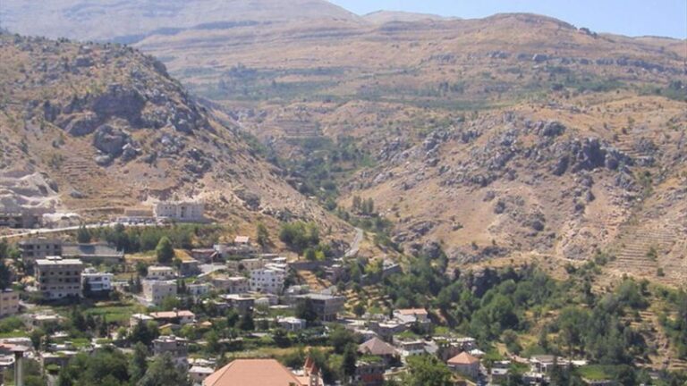 بلدية تنورين: نطالب وزارة الصحّة بإعادة الفحوصات سريعًا