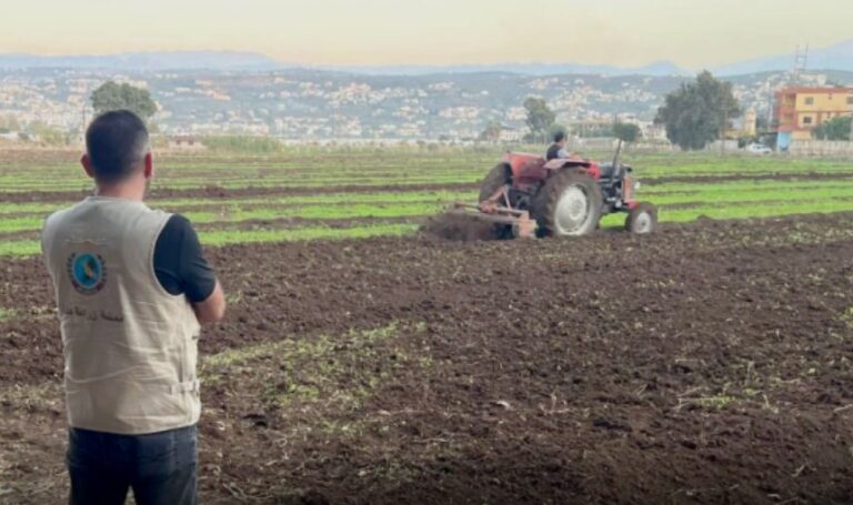 “الزراعة”: إتلاف مزروعات غير مطابقة للمعايير الصحية