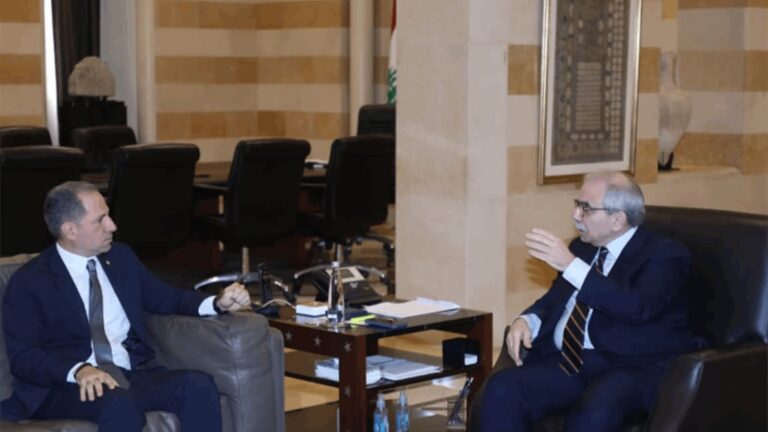 الجميّل: الحكومة مطالبة بضمان حق المغتربين في الانتخابات النيابية