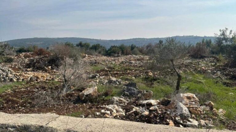 أهالي حولا سينزلون إلى كرومهم لإنهاء موسم الزيتون